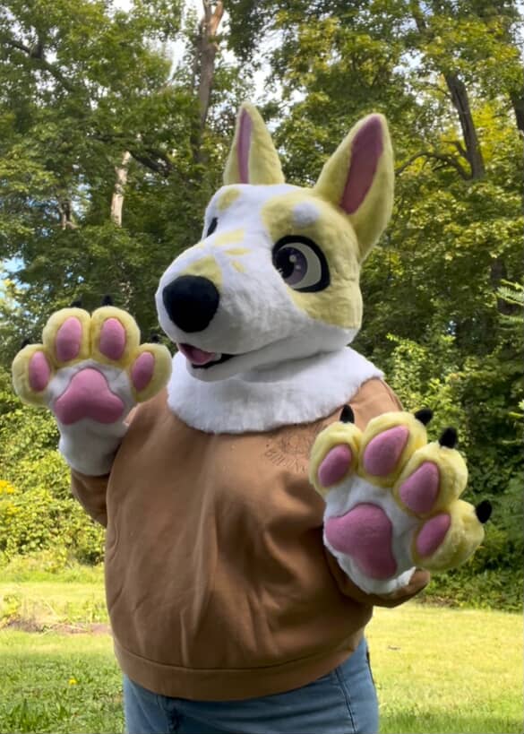 Bull Terrier-2025