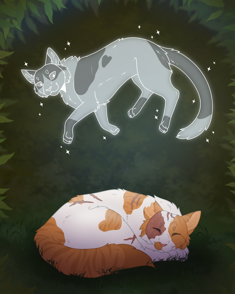 Brightheart & Swiftpaw