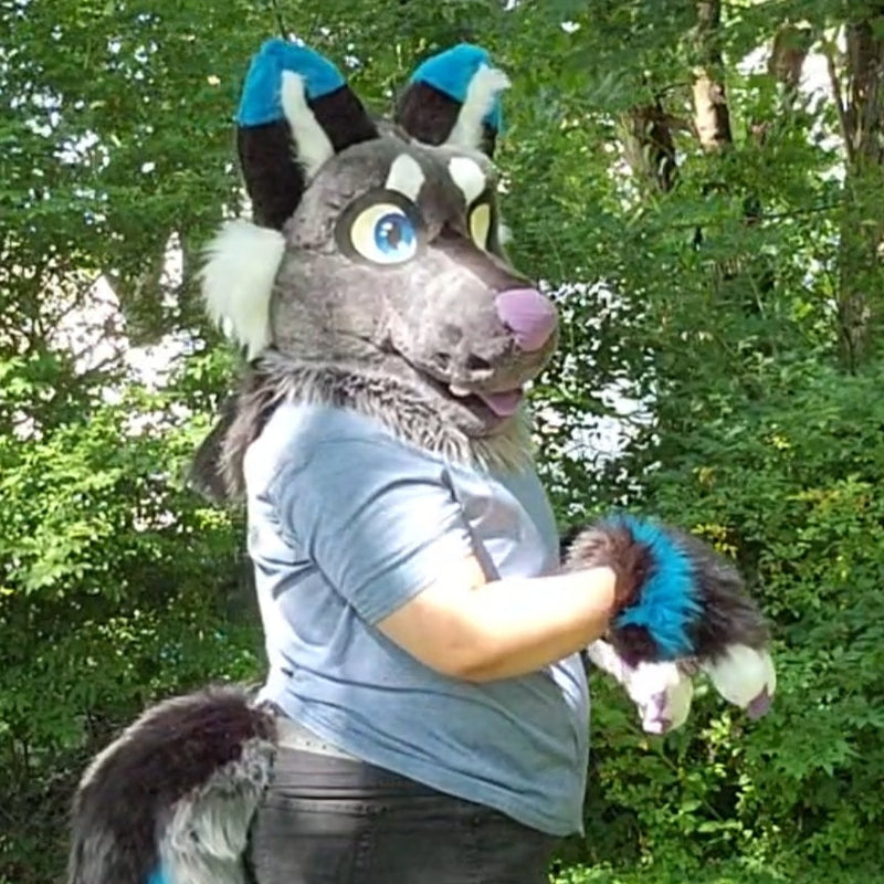 Midnight-Wolf-2021