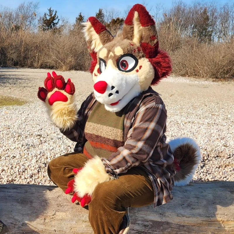 Kaynarii 1.0-Wolf/Husky-2022